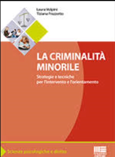 La criminalità minorile. Strategie e tecniche per l'intervento e l'orientamento